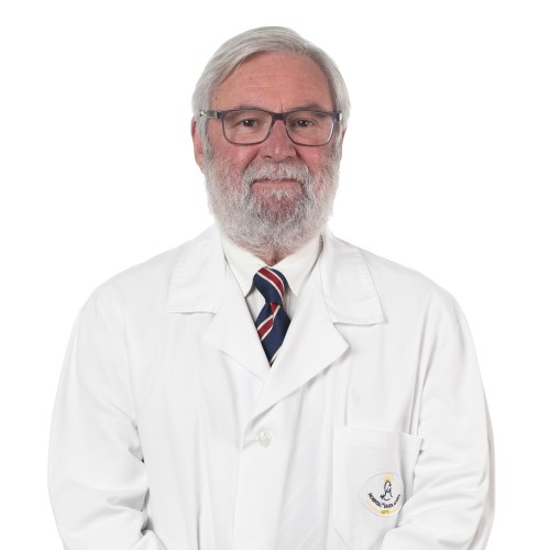 Dr. Paulo Bonito