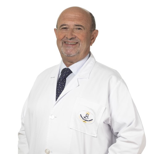 Dr. Rui Pinto