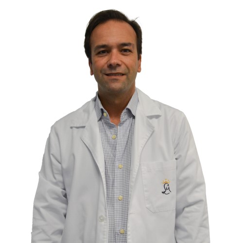 Dr. Nuno Faria