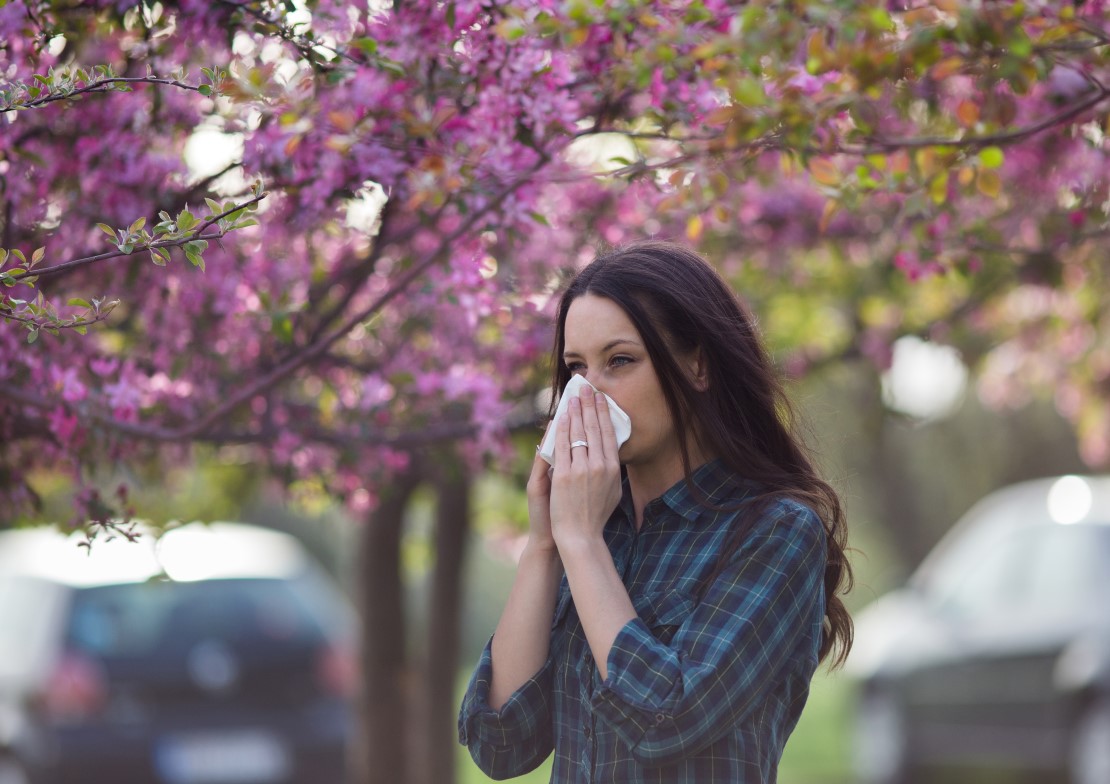 Alergias na primavera